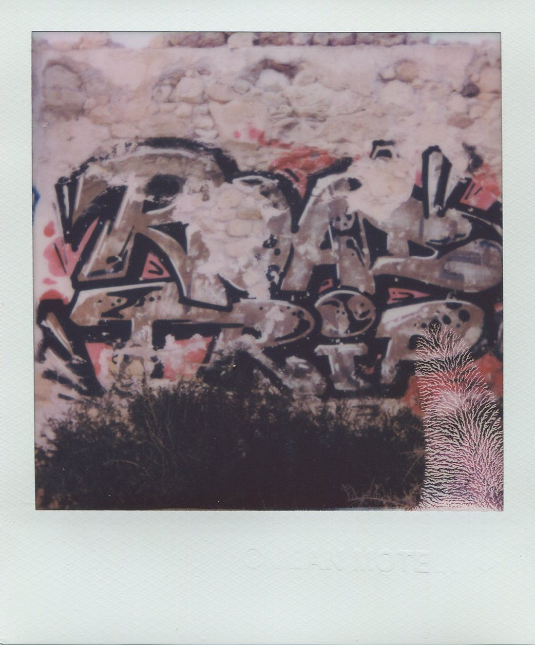Jean Motell, Polaroid, Untitled, 2022